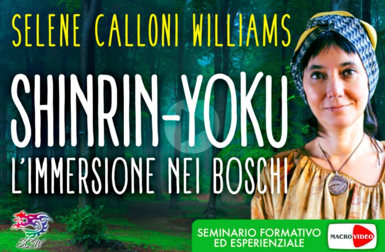 Shinrin-Yoku: immersione nei boschi - ON DEMAND