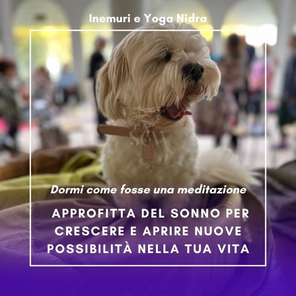 Inemuri e Yoga Nidra